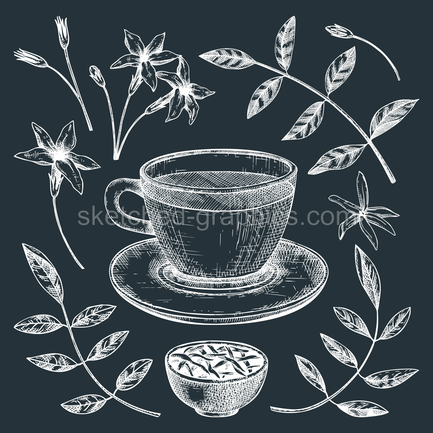 Hand-sketched jasmine tea in a glass mug illustrations on chalkboard. Vector sketch of hot drink in an elegant cup, dried leaves, jasmine blossom. Green Tea drawing for menu design. Illustration